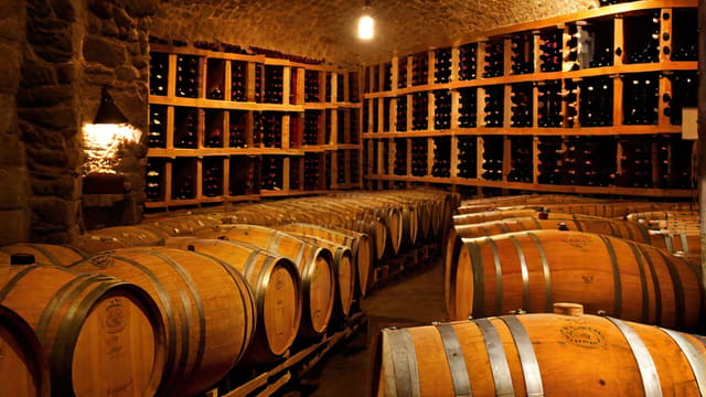 Who Invented Wine First