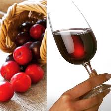 plum wine recipe