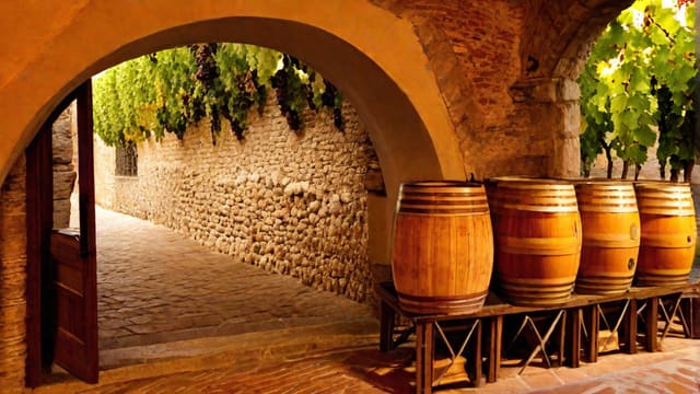 How Much Wine Do Italians Drink