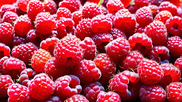 How To Make Raspberry Wine