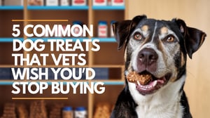 5 Common Dog Treats That Vets Wish You'd Stop Buying