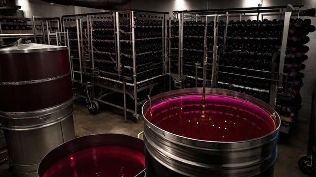 How To Make Wine Out Of Grape Juice