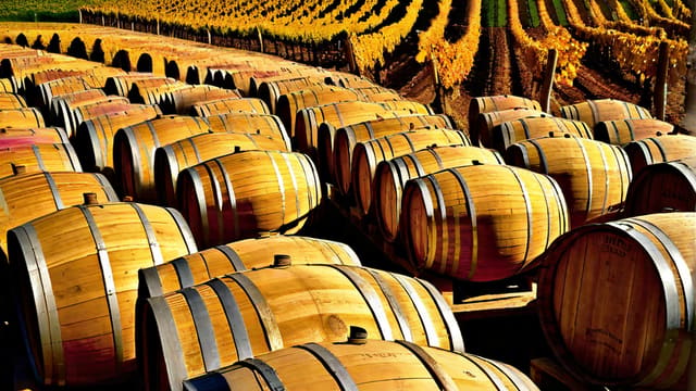 What Is Burgundy Wine