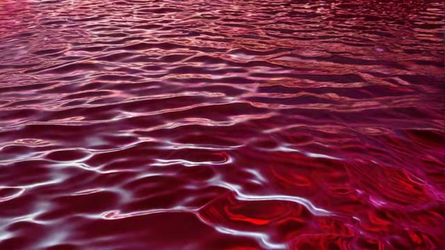 Why Did Jesus Turn Water To Wine