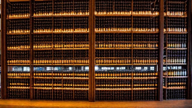Who Owns Goose Island Brewing
