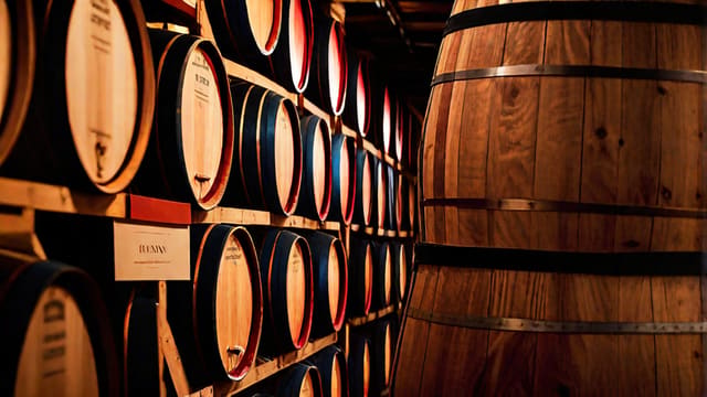 What Is The Difference Between Merlot And Cabernet