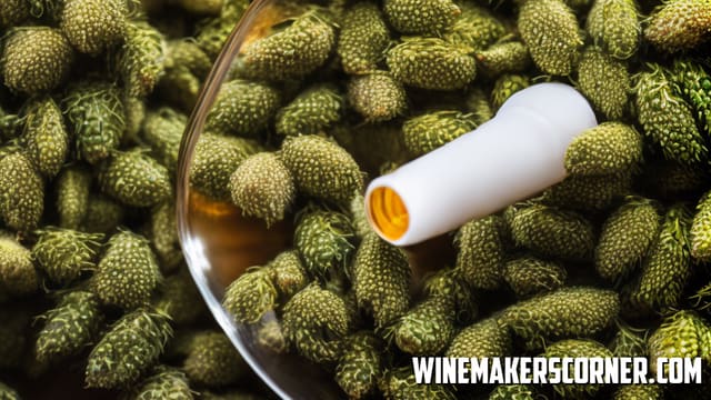 Brewing Ithaca Flower Power Clone Beer Recipe