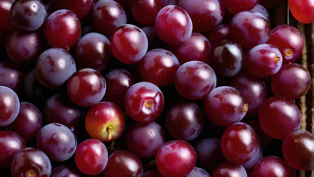 How To Preserve Muscadine Grapes