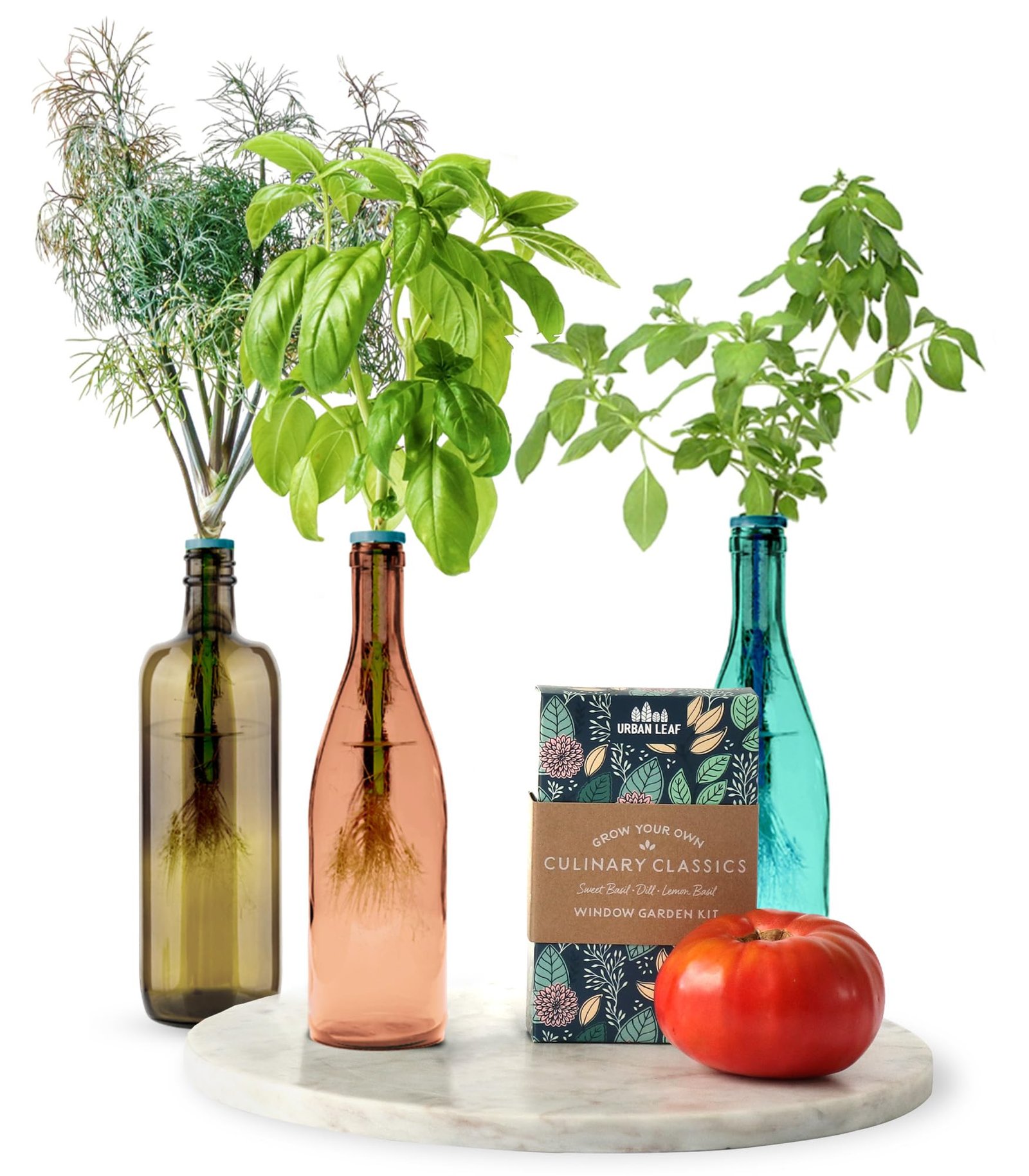 Urban Leaf Herb Garden Kit