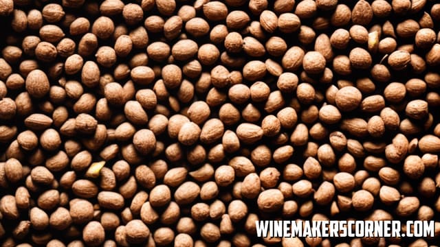 Wine Has Nutty Flavor Malolactic Fermentation