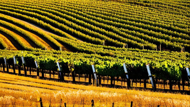Where Is California Wine Country