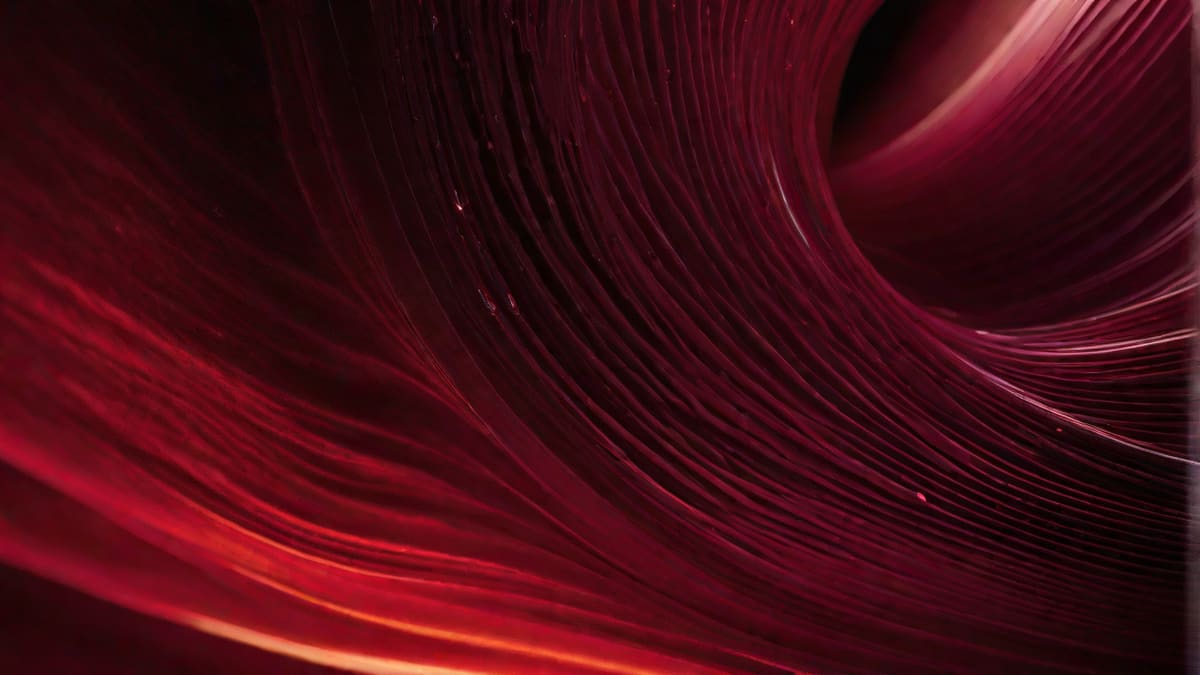 What Is Dry Red Wine