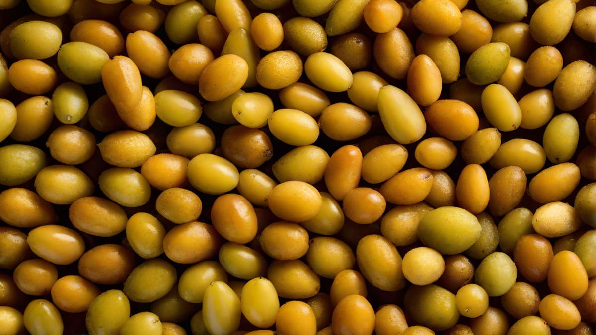 Is Riesling Sweet Or Dry