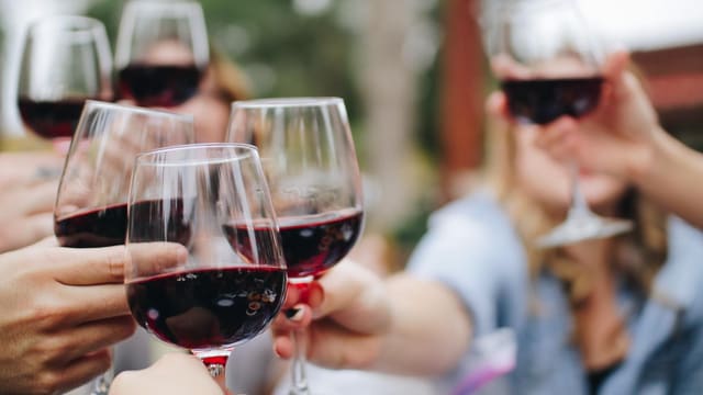 Best Zinfandel Winemaking Kits