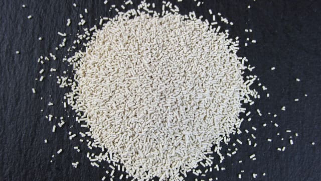 bread yeast alcohol tolerance