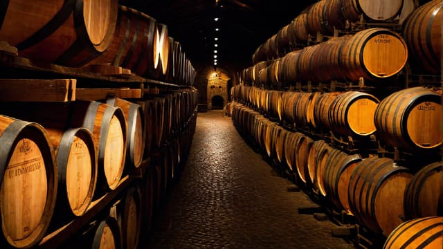 Where Does Port Wine Come From