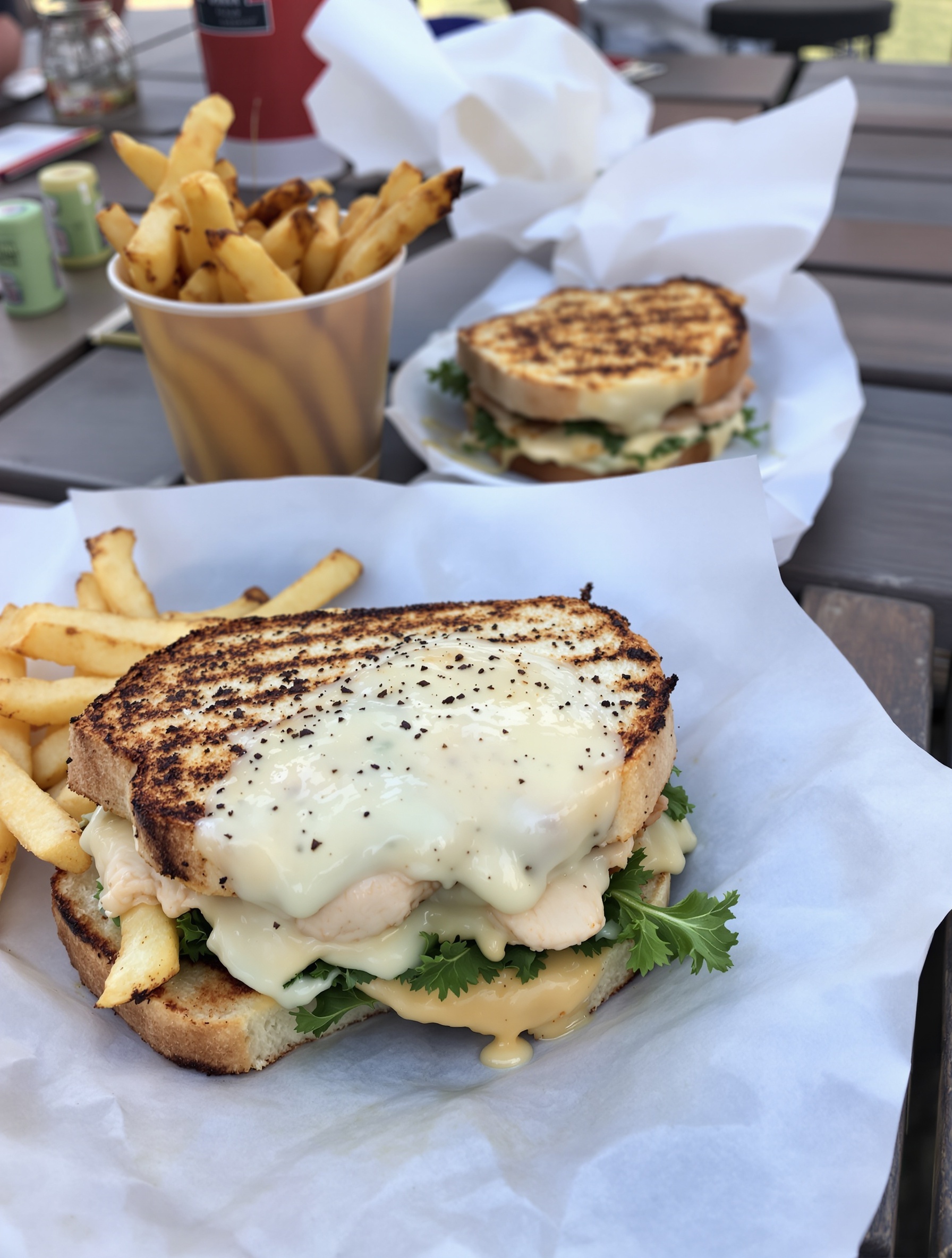 Grilled chicken pesto panini with fries