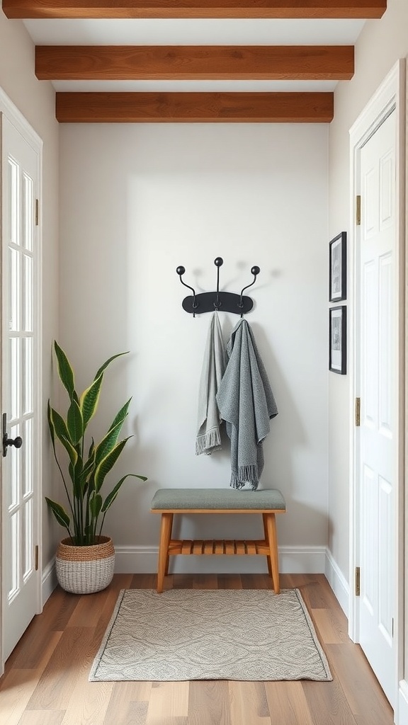 A small foyer featuring a black coat rack, a bench, a plant, and a decorative rug.