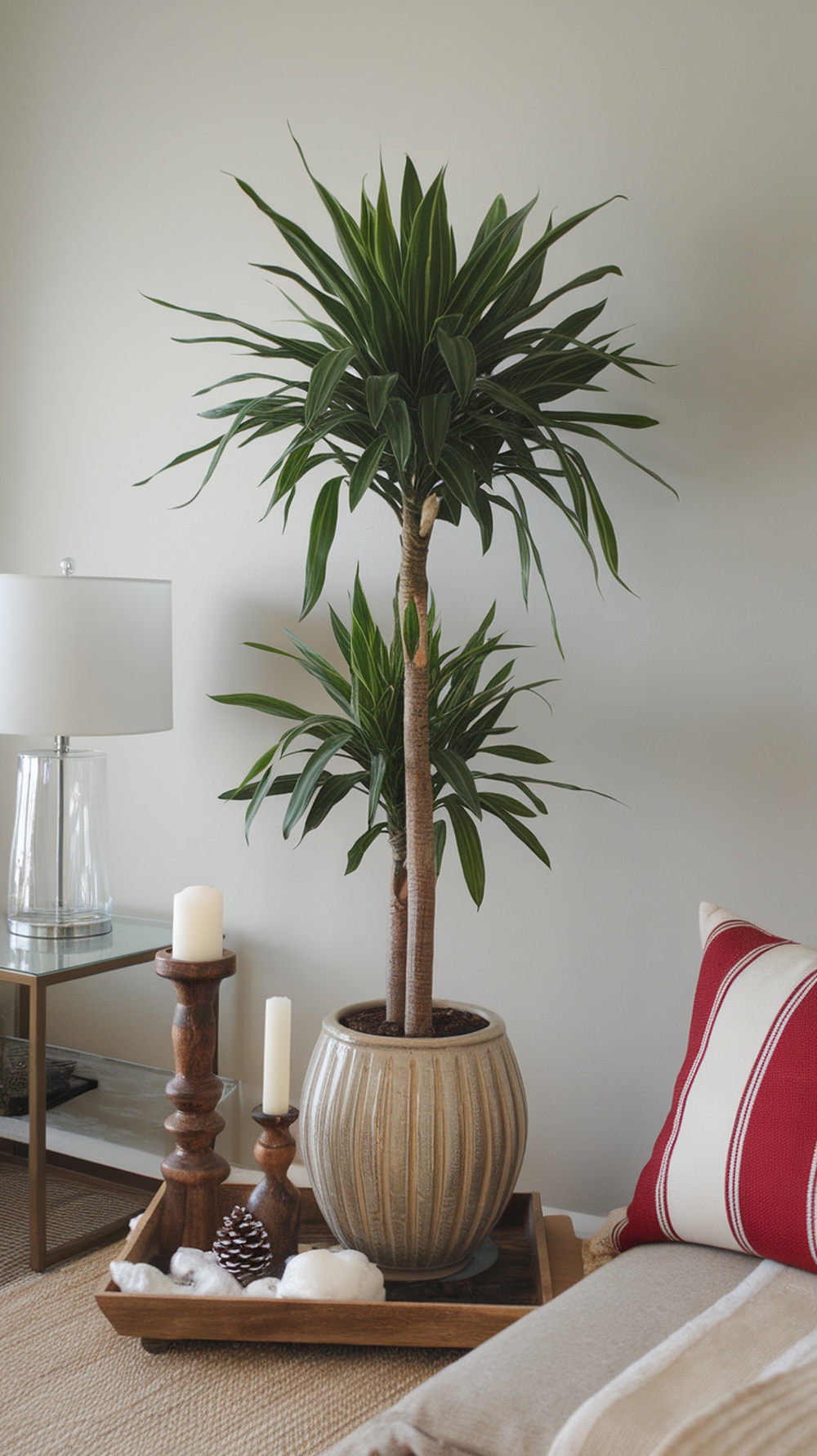 A Dracaena plant in a stylish pot next to candles and a cozy throw.