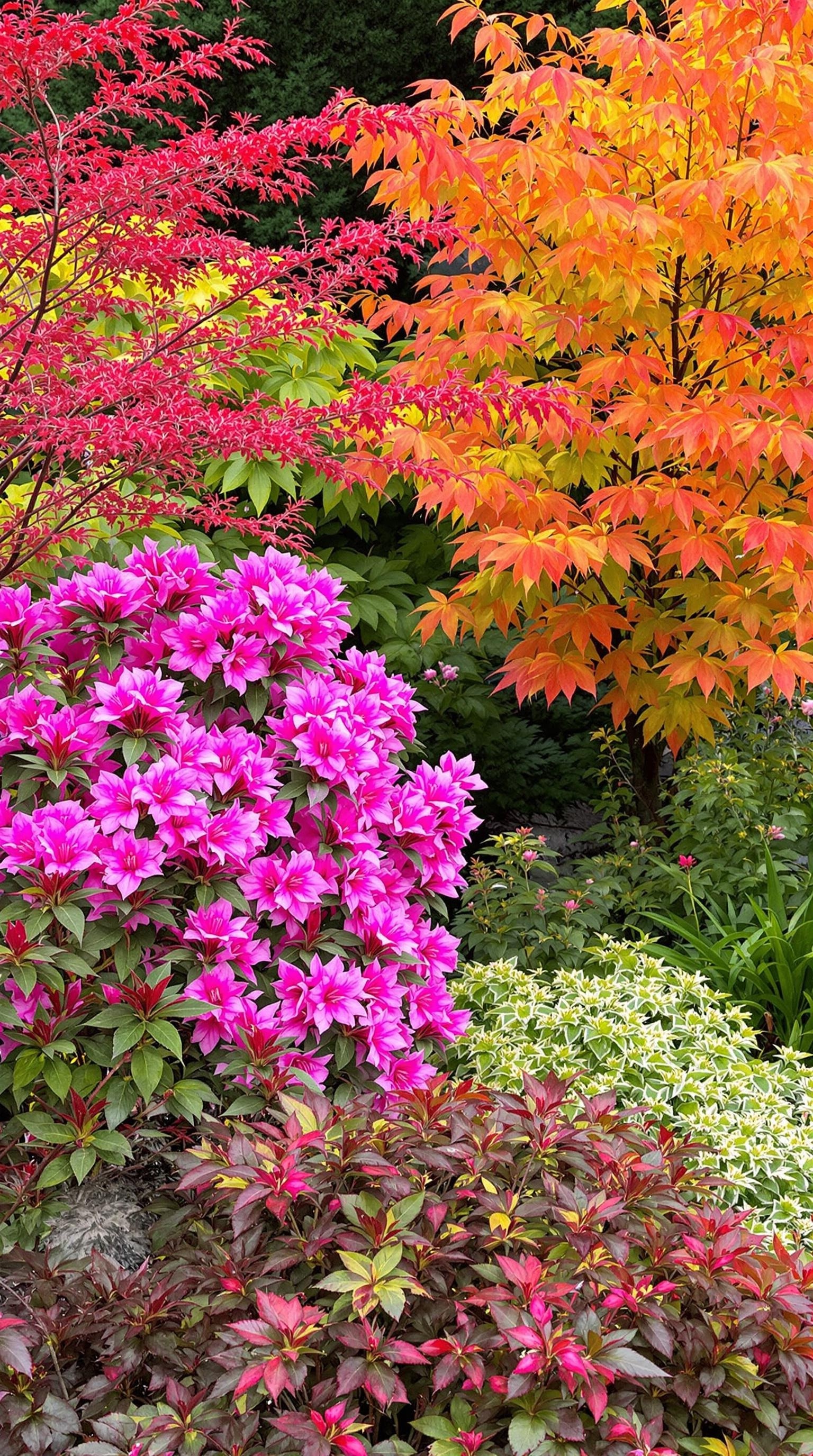 A colorful display of seasonal plants in a Japanese garden, featuring pink azaleas, orange and red maple leaves.