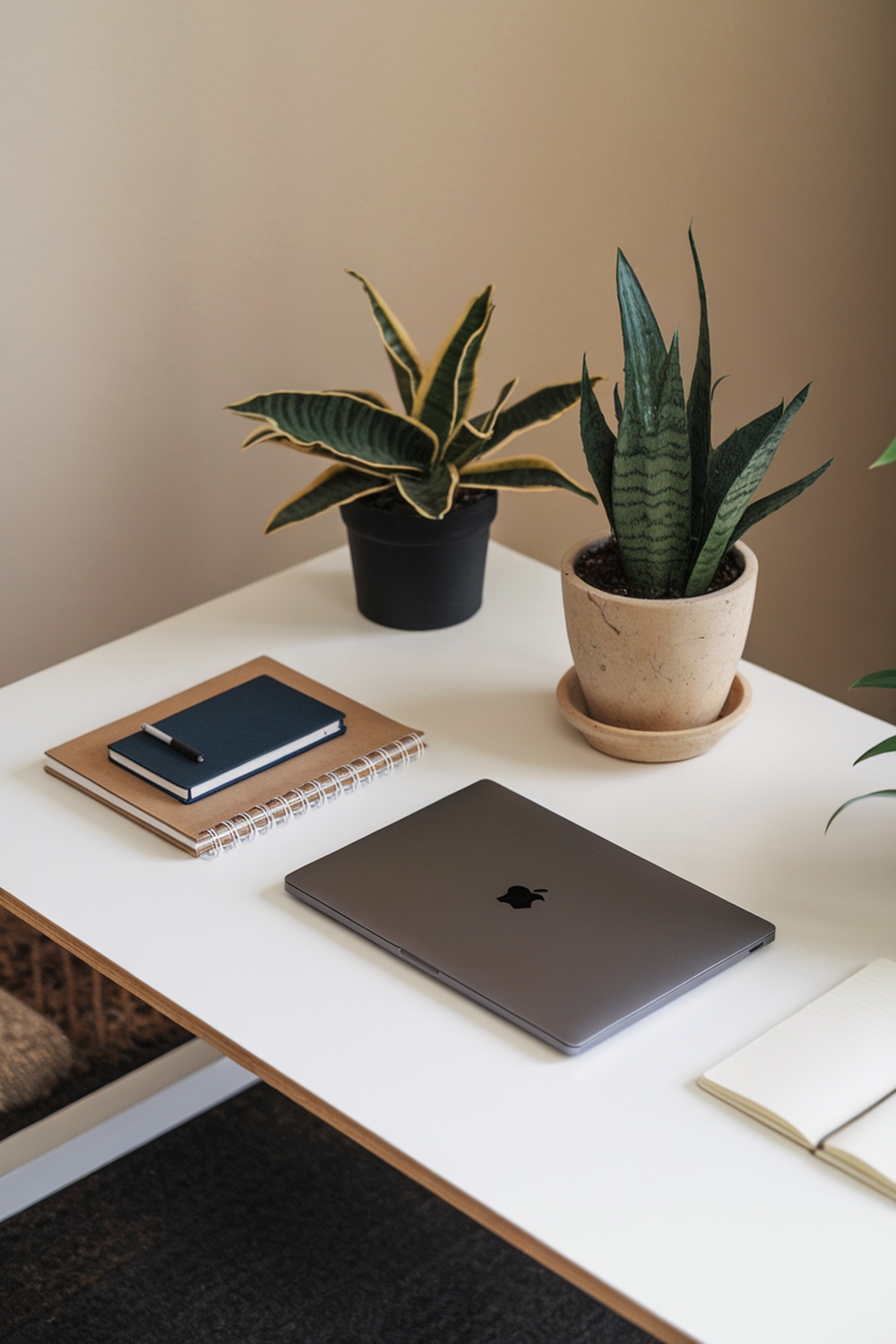 Minimalist home office desk with a laptop, notebooks, and plants
