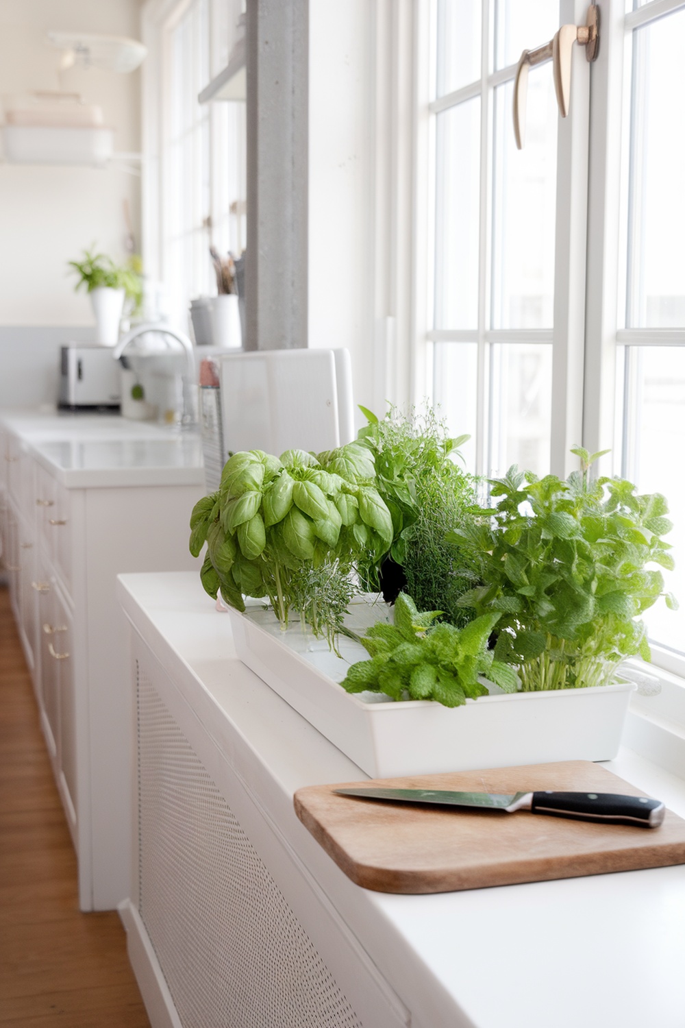 Indoor herb garden with basil, mint, and thyme in a bright kitchen