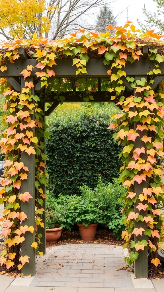 A trellis covered in colorful foliage, showcasing fall colors.