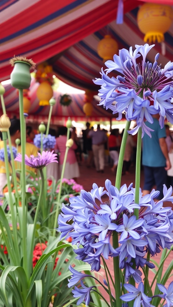 A vibrant festival scene featuring blooming agapanthus flowers under a colorful tent with people in the background.