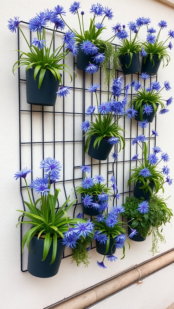 Vertical garden display featuring Agapanthus plants in pots on a grid.