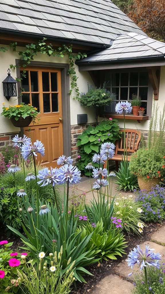 A charming cottage garden featuring tall Agapanthus flowers in blue, surrounded by colorful blooms and a cozy seating area.
