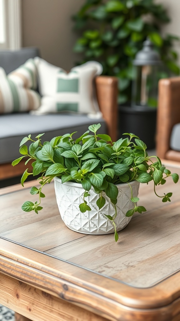 A small herb plant in a textured white pot on a wooden coffee table, surrounded by cozy seating.