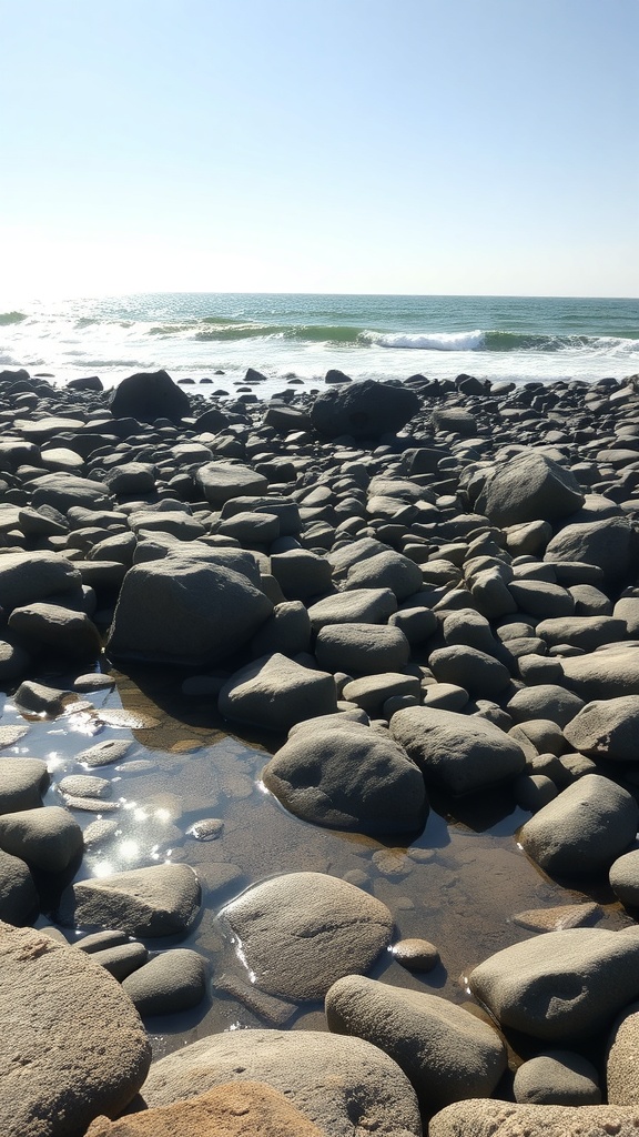Rocky beach with tide pools and ocean waves