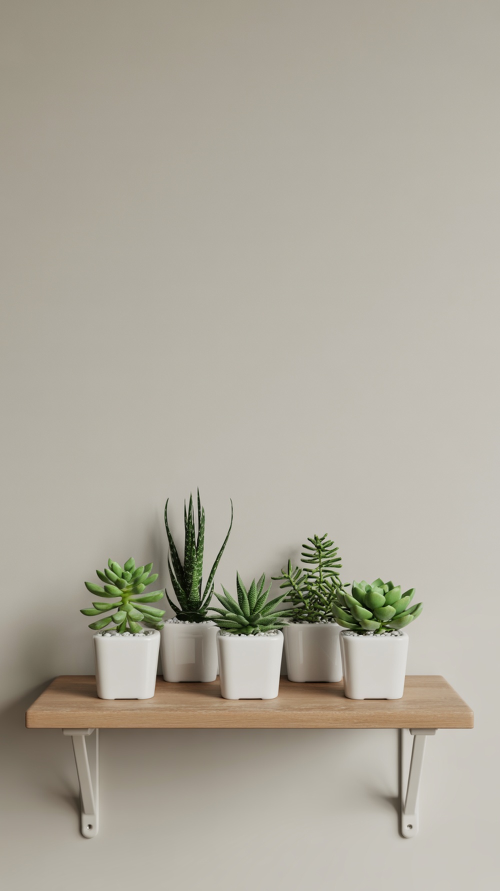 A wooden shelf displaying several green succulents in white pots against a neutral wall.