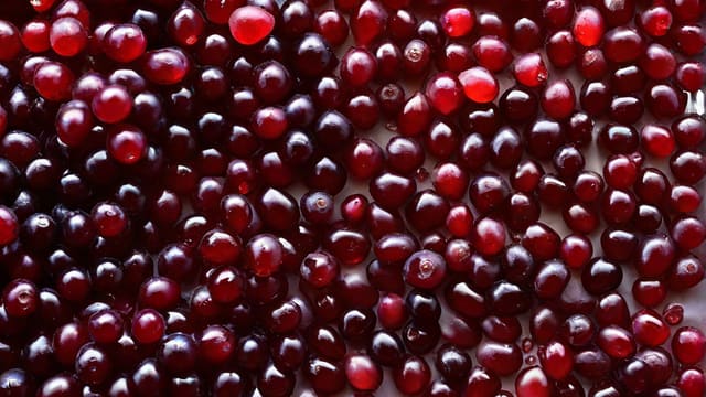 How Many Calories In Cabernet Sauvignon