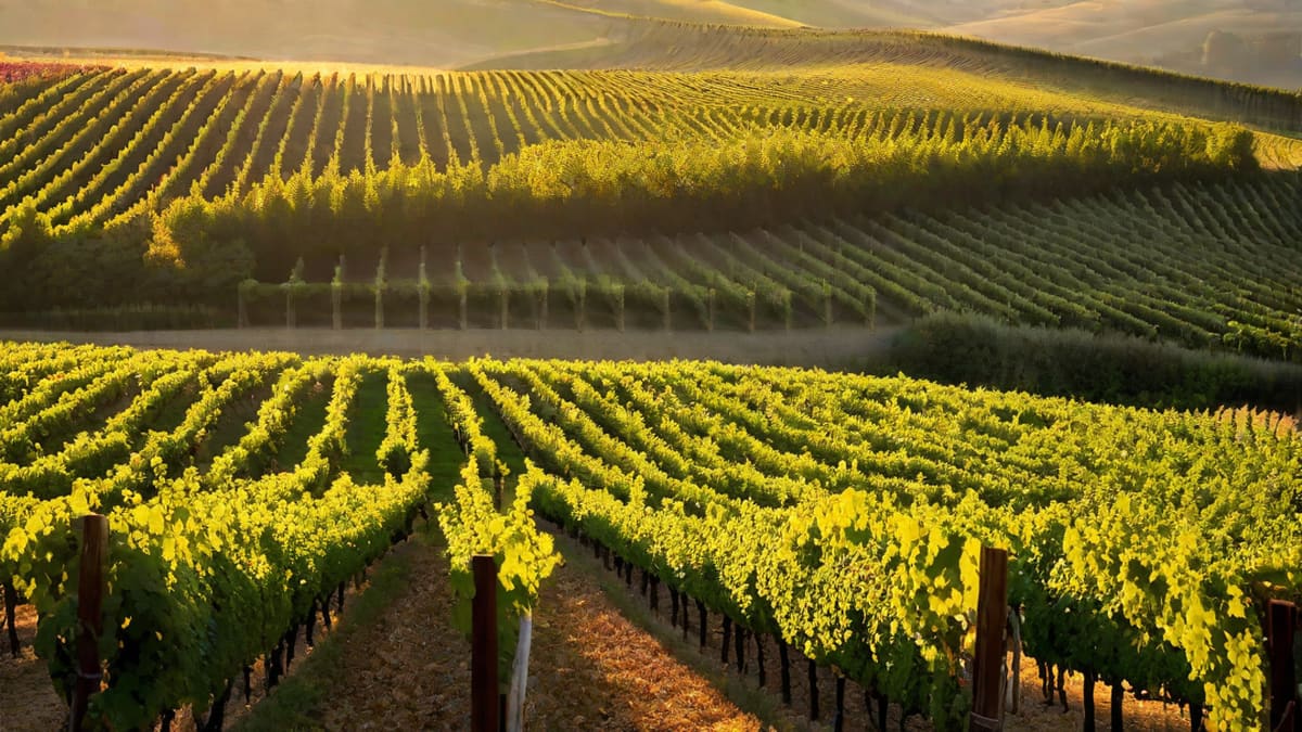 Is There Gluten In Wine