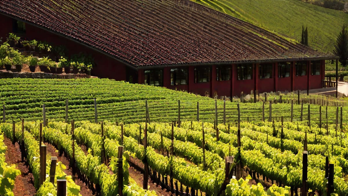 De Soi Wine
