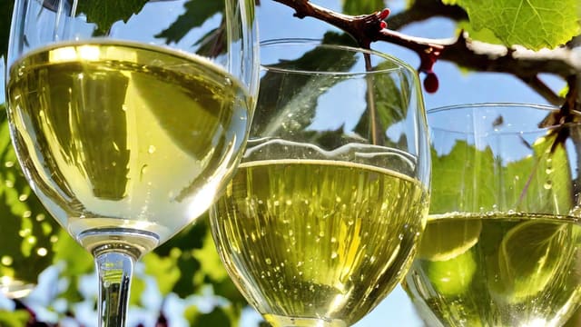 Does White Wine Have Carbs