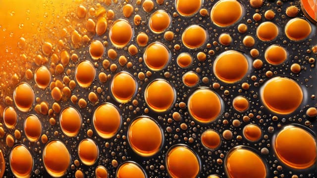 What Champagne Is Good For Mimosas