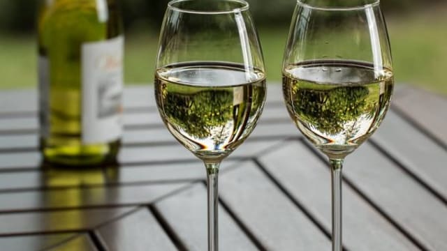 best pinot grigio wine making kits