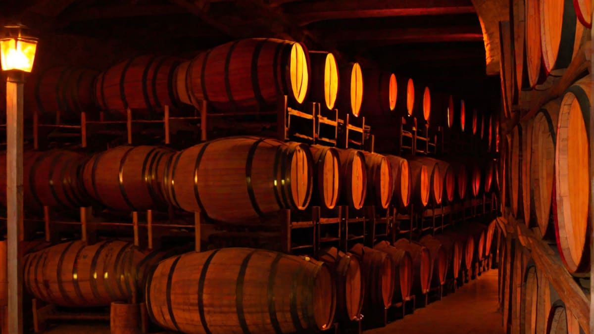 Does Wine Make You Tired
