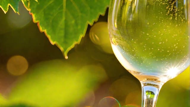 Is Riesling Sparkling