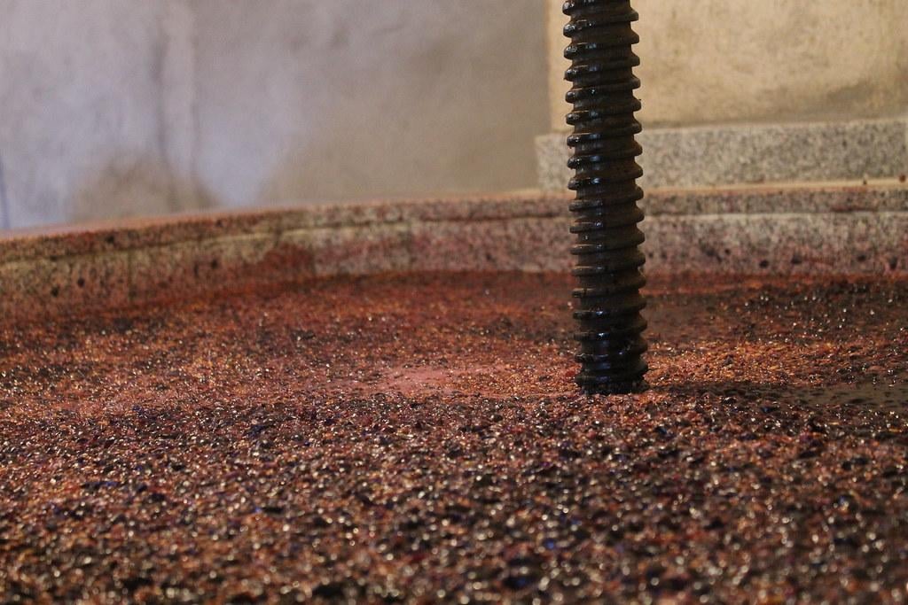 wine making kits with grape skins