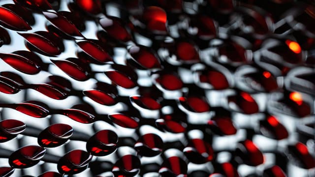 Is Pinot Noir Served Chilled