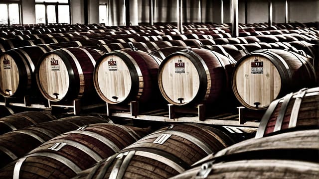 What Temp Should Red Wine Be