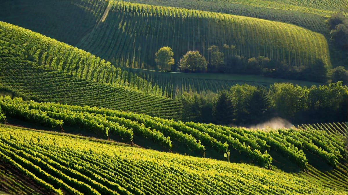 What Time Can You Buy Wine In Ohio On Sunday