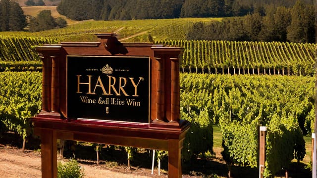 Is Harry And David Wine Good