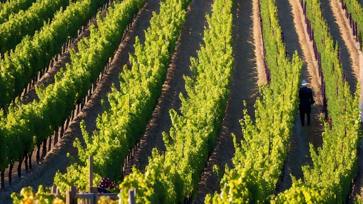 When Does Food And Wine Start 2023