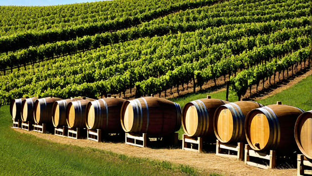 Does Some Traditional Winemaking Crossword