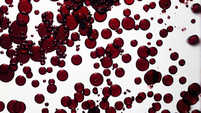 How To Remove Red Wine From Clothing
