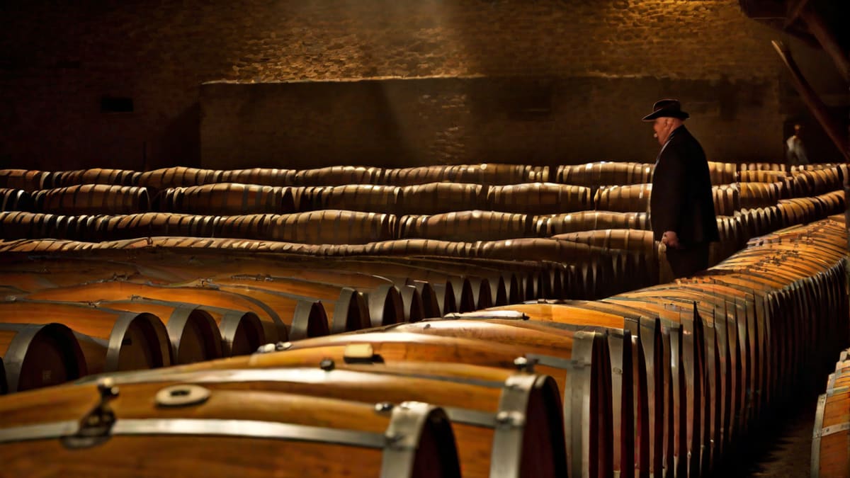 How Long For Wine To Ferment